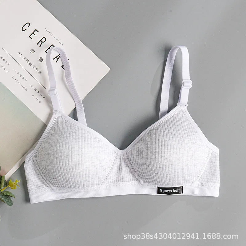 Light gray / 32AB