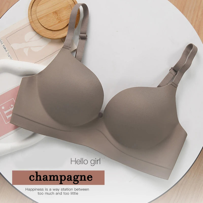 Champagne / 85A