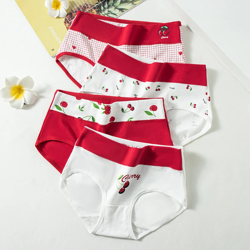 Style-6206 / M (40-50KG) / 4pcs