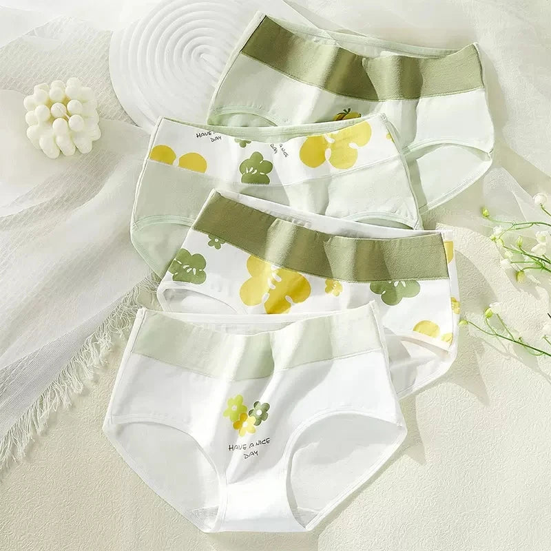Style-6201 / M (40-50KG) / 4pcs