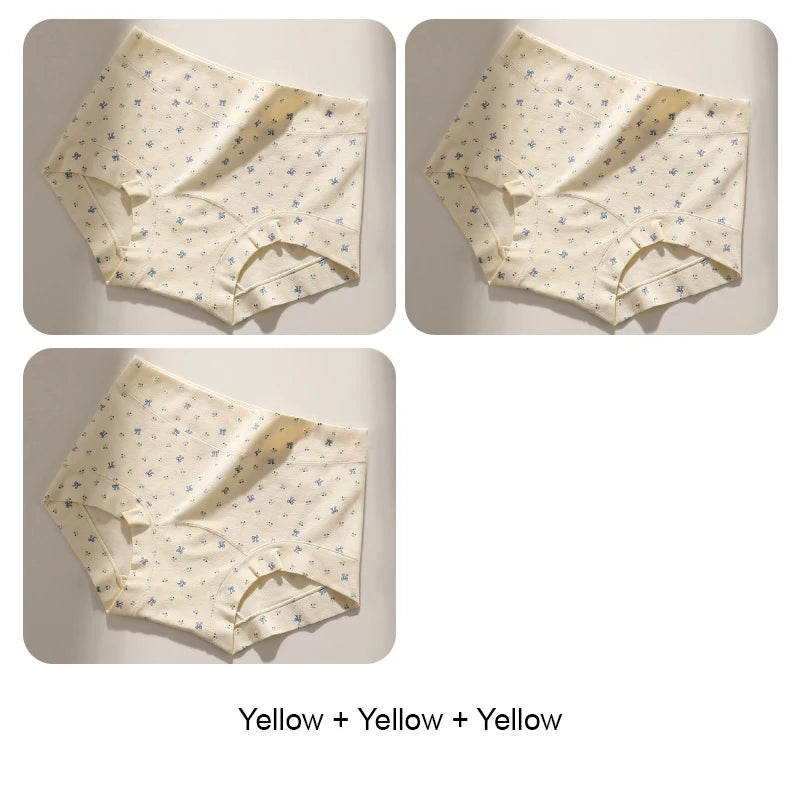 Set 6 / 3XL / 3pcs