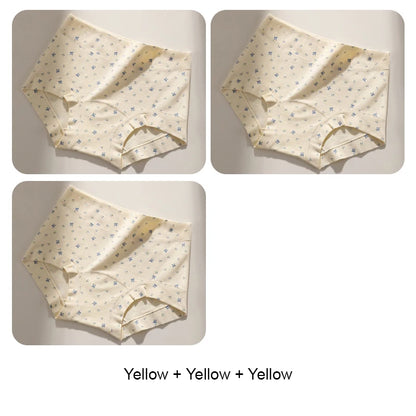Breathable Women Underwear Lady Fashion Plus Size Panties Set Pack Boxer Briefs for Women Cotton Panties Woman Women's Lingerie