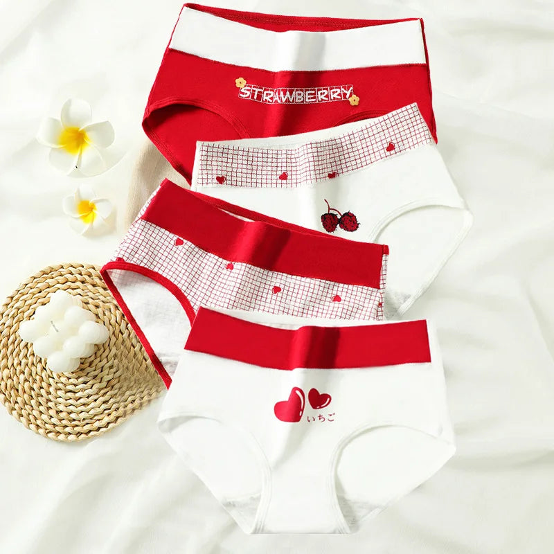 Style-6205 / M (40-50KG) / 4pcs