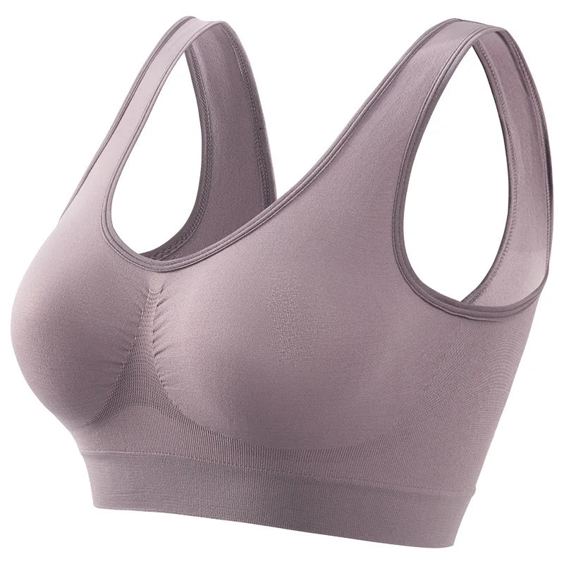 purple-gray / XXL