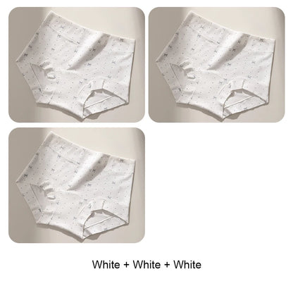 Breathable Women Underwear Lady Fashion Plus Size Panties Set Pack Boxer Briefs for Women Cotton Panties Woman Women's Lingerie