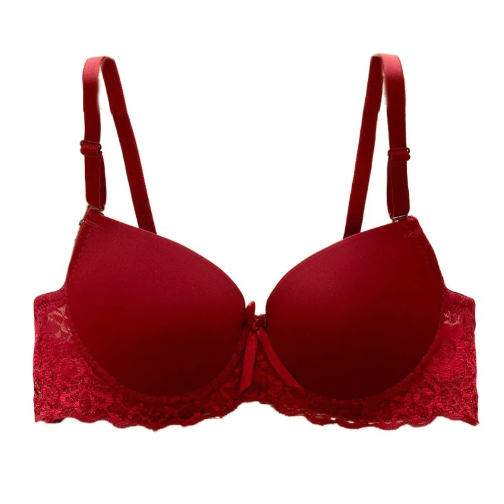 Claret / 34-75AB