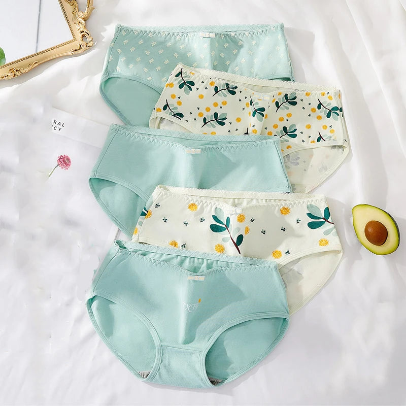 Style-8533 1 / XL (55-70kg) / 5pcs